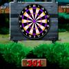 301 Dart game
