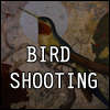 BIRD SHOOTING game