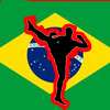 Brazil Street Fighter game