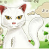 Cat math game