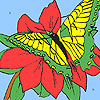 Camellia and butterfly coloring game