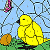 Chick And egg coloring game