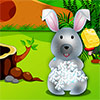 Cute Bunny Day Care game