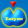 Enzymatic game