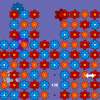 Flowers Time game