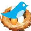 Golden egg game