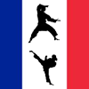 Kung Fu France game