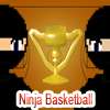 Ninja Basketball game