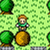 SokobWorld game