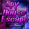 Spy House Escape game