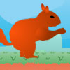 Squacorn game