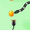 Steal Eggs game