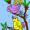 Sweet neighboring birds coloring game