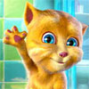Talking Ginger game