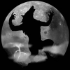 Werewolf find numbers game